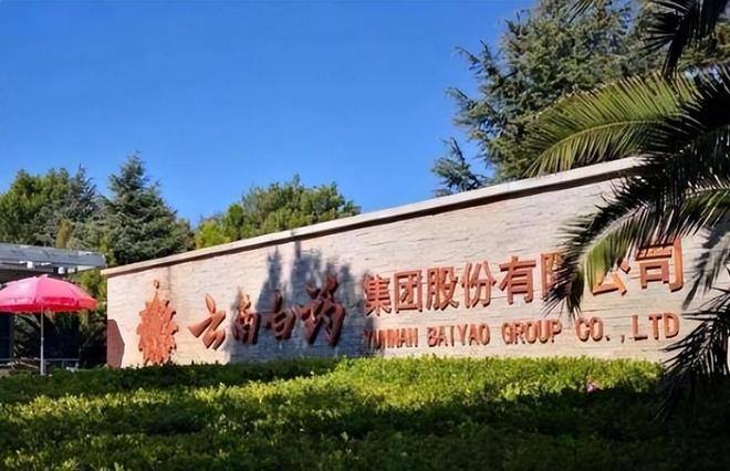 败好来、佳洁士、高露洁市场份额达到23%麻将胡了试玩模拟器中国牙膏第一品牌：击(图4)